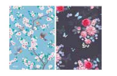 Opakowanie Brulion A6/96K kratka Ladylike (5szt)