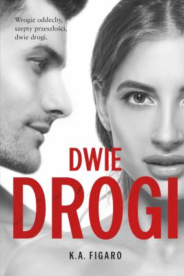 Dwie drogi. Rozchwiani. Tom 4. Autor: Figaro K.A.. SmakLiter.pl Okładka książki Dwie drogi. Rozchwiani. Tom 4