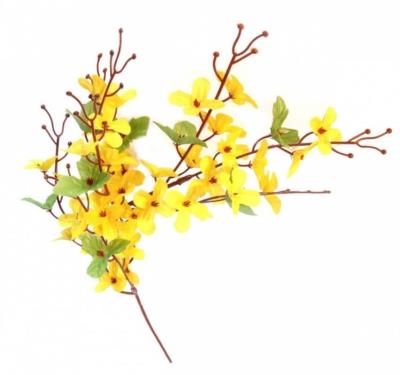 Opakowanie Gałązka Forsycja