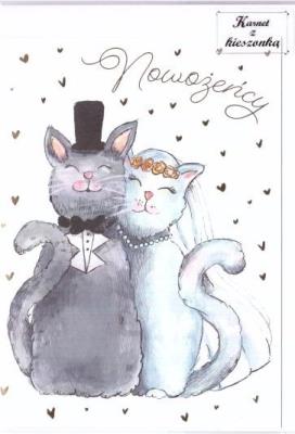 Opakowanie Karnet B6 z kieszonką - Koty