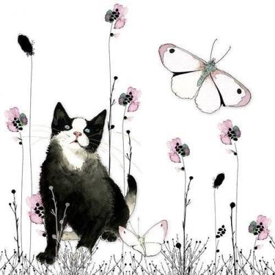 Opakowanie Karnet Swarovski kwadrat CL1202 Kot i motyl