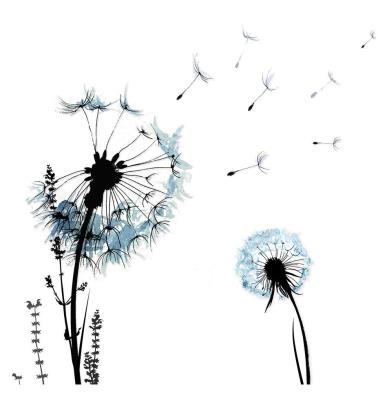 Opakowanie Karnet Swarovski kwadrat CL1208 Dmuchawce