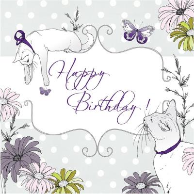 Opakowanie Karnet Swarovski kwadrat CL1505 Urodziny koty