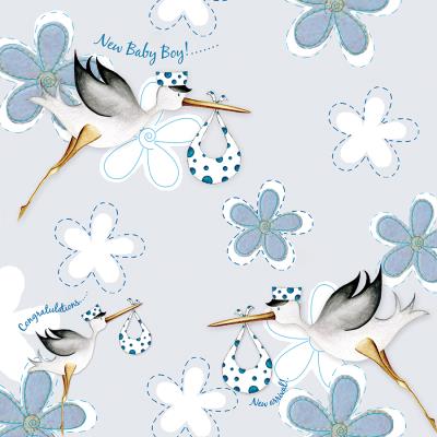 Opakowanie Karnet Swarovski kwadrat PF12 Narodziny bociany ch