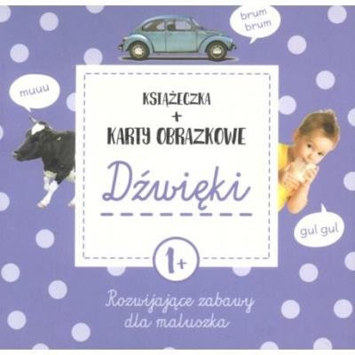 Karty obrazkowe Poznaję Świat Dźwięki w.2017. Autor: Natalia Minge, Krzysztof Minge. SmakLiter.pl Okładka książki Karty obrazkowe Poznaję Świat Dźwięki w.2017