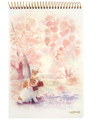 Opakowanie Kołoszkicownik B5/48K Koty 2