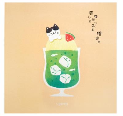 Opakowanie Szkicownik 21x21cm 80K Kot