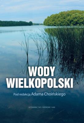 Opakowanie Wody Wielkopolski