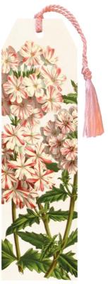 Opakowanie Zakładka 64 ze wstążką Pelargonia pachnąca