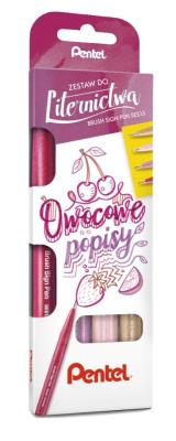 Opakowanie Zestaw pisaków do kaligrafii 4 kolory PENTEL