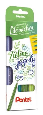 Opakowanie Zestaw pisaków do kaligrafii 4 kolory PENTEL