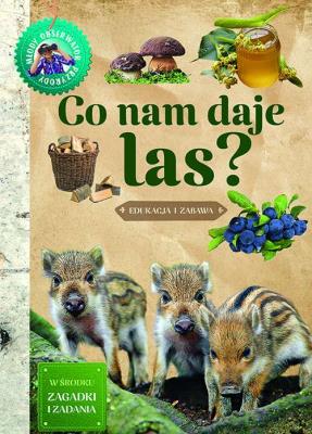 Co nam daje las. Młody obserwator przyrody. Autor: Wojciech Gil. SmakLiter.pl Okładka książki Co nam daje las. Młody obserwator przyrody