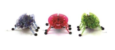 Opakowanie Hexbug Żuczek mix