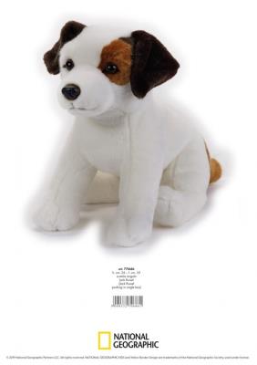 Jack Russell Maskotka. Wydawca: National Geographic. SmakLiter.pl Opakowanie Jack Russell Maskotka