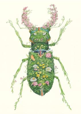 Opakowanie Karnet A110 B6 + koperta Chrząszcz