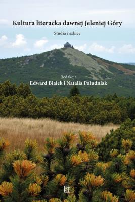 LITERATUROZNAWSTWO. Autor: Białek Edward Jabłecki Tomasz, Południak Natalia. SmakLiter.pl Okładka książki LITERATUROZNAWSTWO
