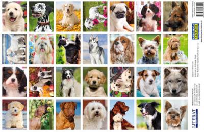 Opakowanie Naklejki Psy