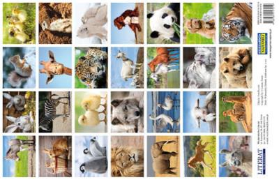 Opakowanie Naklejki Zwierzęta