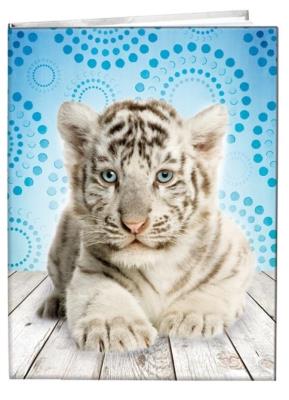 Opakowanie Notes gładki 13x18cm Tygrys