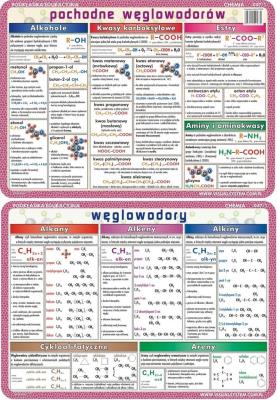 Podkładka edu. 047/1 - Węglowodory i ich pochodne. Wydawca: Visual System. SmakLiter.pl Opakowanie Podkładka edu. 047/1 - Węglowodory i ich pochodne