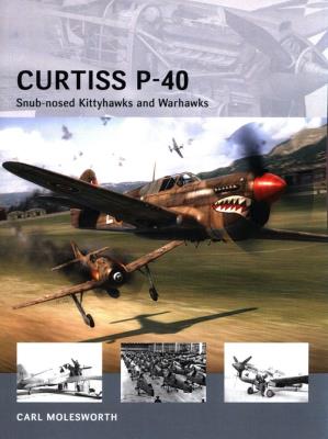 Curtiss P-40. Autor: Molesworth Carl. SmakLiter.pl Okładka książki Curtiss P-40