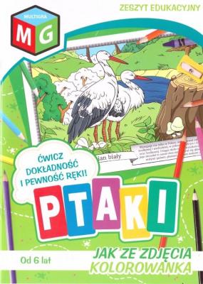 Jak ze zdjęcia - Ptaki. Autor: Opracowanie zbiorowe. SmakLiter.pl Okładka książki Jak ze zdjęcia - Ptaki