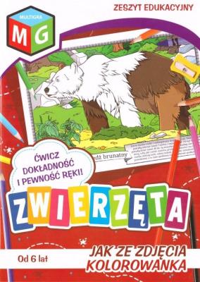 Jak ze zdjęcia - Zwierzęta. Autor: Opracowanie zbiorowe. SmakLiter.pl Okładka książki Jak ze zdjęcia - Zwierzęta