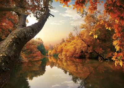 KAL.TROJ. JEDNOCZESCIOWY ROZE 2015-PRMI. Autor: T-106T-10. SmakLiter.pl Okładka książki KAL.TROJ. JEDNOCZESCIOWY ROZE 2015-PRMI