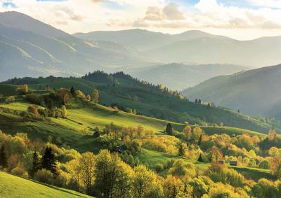Okładka książki KAL.TROJ.LAKA 2014 T-106T-2-PRMI