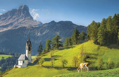 Okładka książki KAL.TROJ. SKLADANY SOSENKA 2015 - PRMI