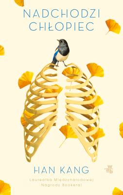 Okładka książki Nadchodzi chłopiec