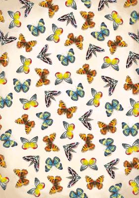 Notatnik Motyle. Autor: Opracowanie zbiorowe. SmakLiter.pl Okładka książki Notatnik Motyle