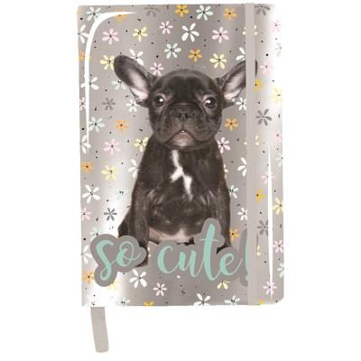 Opakowanie Notes A5 buldog pp20bu-3685