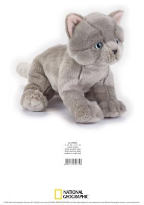 Pluszak Brytyjski krótkowłosy kociak National Geographic Kids. Wydawca: National Geographic. SmakLiter.pl Opakowanie Pluszak Brytyjski krótkowłosy kociak National Geographic Kids