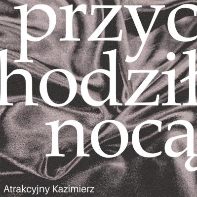 Okładka książki Przychodził nocą