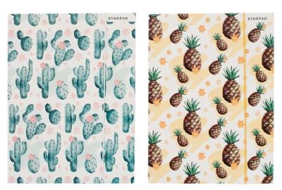 Opakowanie Teczka z gumką A4 kaktus ananas mix