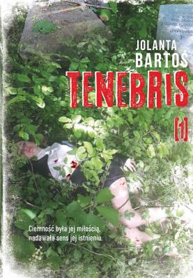 Tenebris 1. Autor: Bartoś Jolanta. SmakLiter.pl Okładka książki Tenebris 1