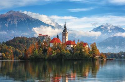 Opakowanie Terminarz 2021 Ścienny MiP