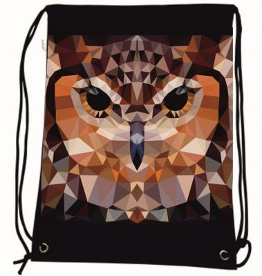 Worek szkolny plecak WR1039 Sowa MESIO. Wydawca: MESIO.PL. SmakLiter.pl Opakowanie Worek szkolny plecak WR1039 Sowa MESIO