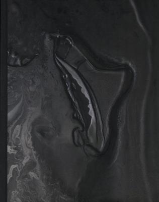 Okładka książki Wyzwolone siły. Angelika Markul i współczesny..