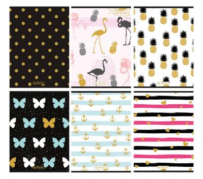 Opakowanie Zeszyt A5/60K kratka Gleam (10szt)