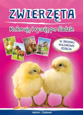 Zwierzęta Koloruję i rysuję po śladzie. Autor: Myślak Monika. SmakLiter.pl Okładka książki Zwierzęta Koloruję i rysuję po śladzie