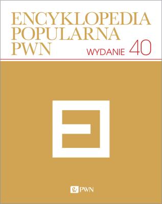 Okładka książki Encyklopedia popularna. Nowe wydanie