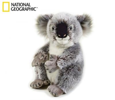 Koala Australijski. Wydawca: National Geographic. SmakLiter.pl Opakowanie Koala Australijski