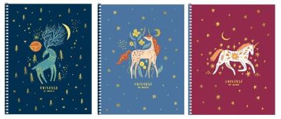 Opakowanie Kołozeszyt B6/80K kratka Universe of magic ASTRA