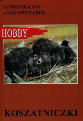 Koszatniczki w.2016. Autor: Zas Agnieszka, Anna Owczarek. SmakLiter.pl Okładka książki Koszatniczki w.2016