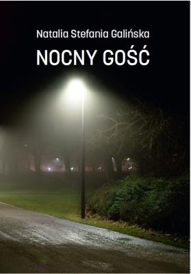 Nocny Gość. Autor: Galińska Natalia Stefania. SmakLiter.pl Okładka książki Nocny Gość