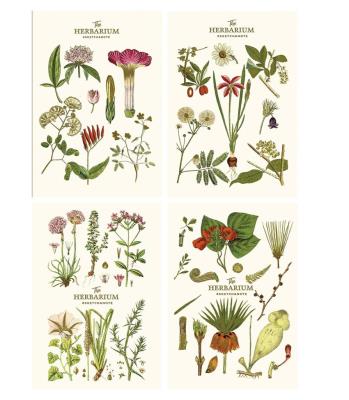 Opakowanie Notes A5/64K gładki Sketch&note Herbarium ASTRA