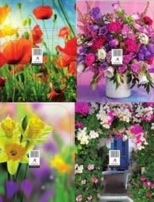 Opakowanie Podstawka zdzieraka MIX