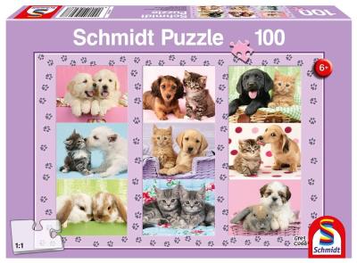 Opakowanie Puzzle 100 Przyjaciele G3